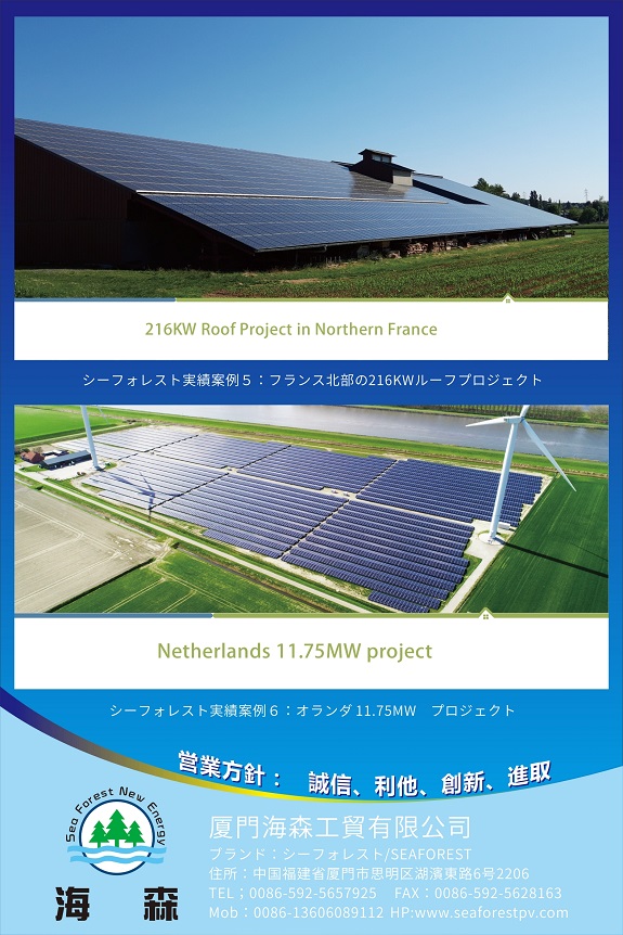 HJT bifacial solar panel