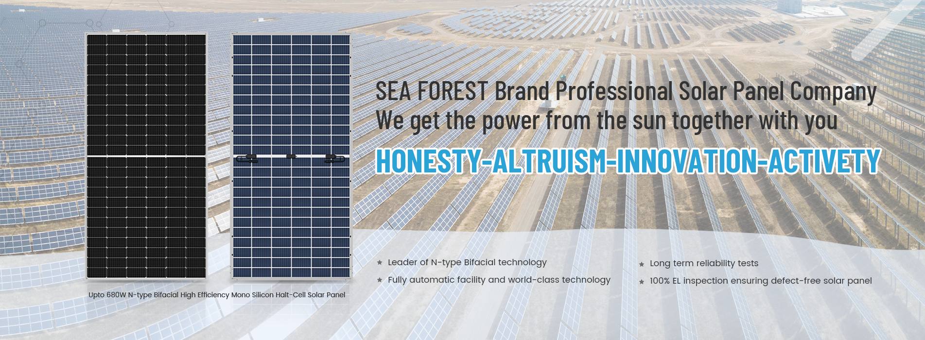 Professional Solar Panel Company